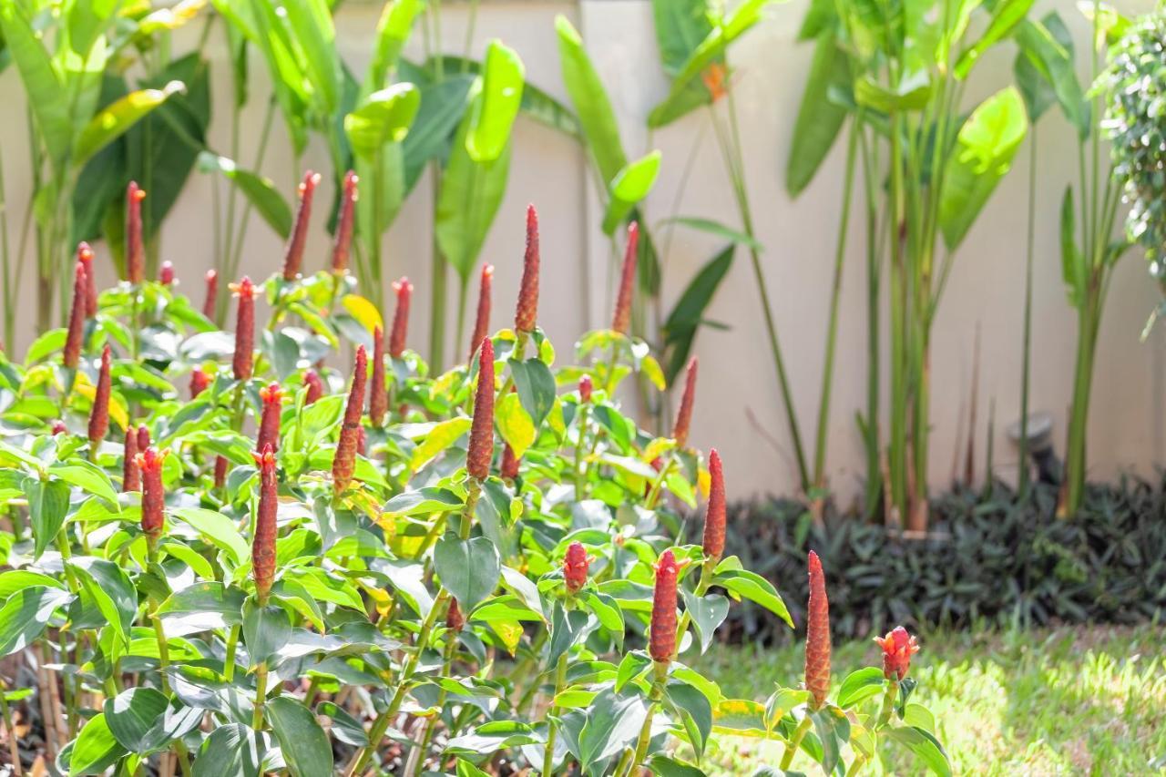 Foxtail Palm Villa Rawai エクステリア 写真